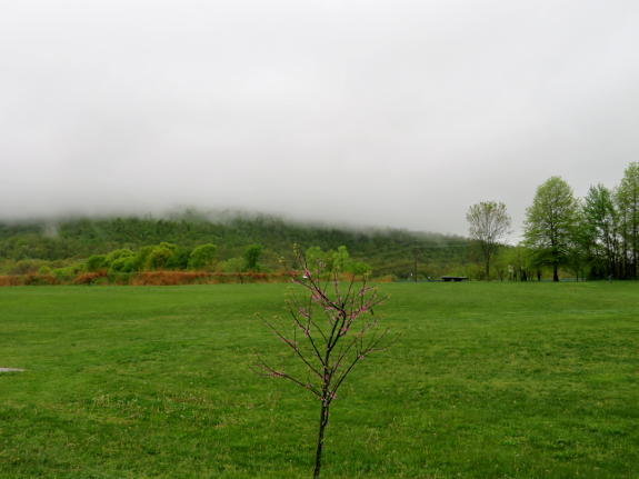 Clouds cover Shepherd's Mountain April 25, 2019.